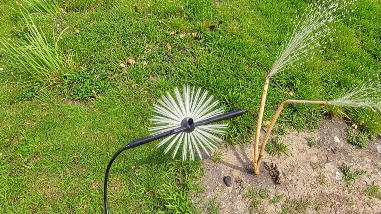 apply tenacity at early sedge growth