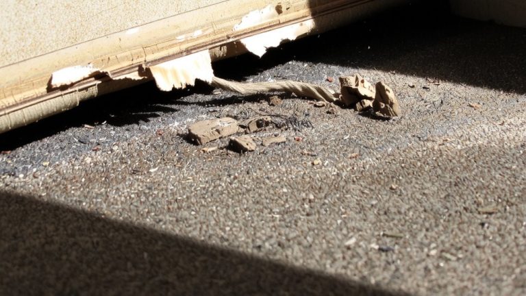 asbestos in carpet underlay