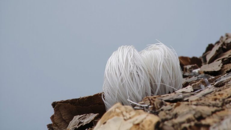 asbestos or fiberglass detection