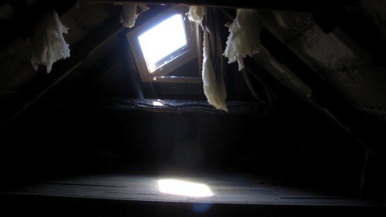 attic moisture causes earthy odors
