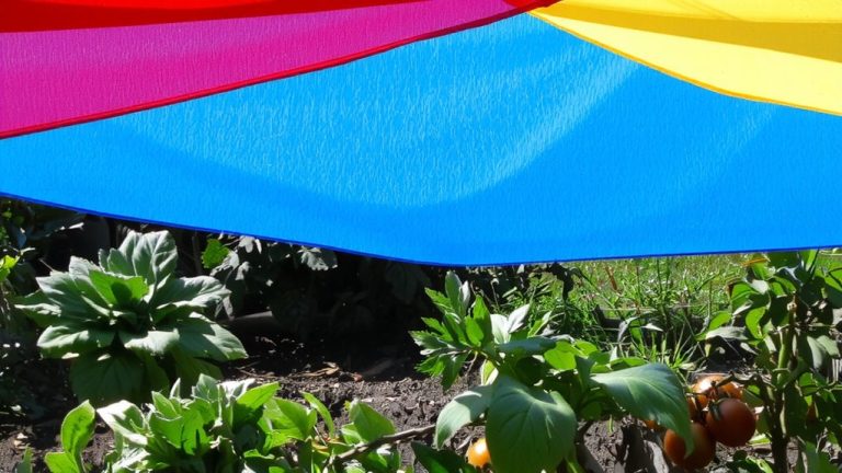 best color shade cloth