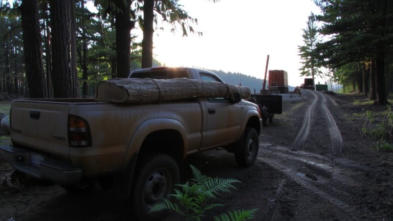 best hauling company