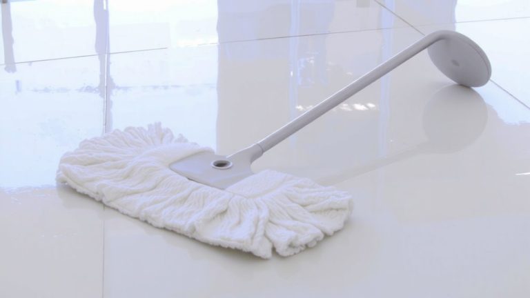 best mop for vinyl