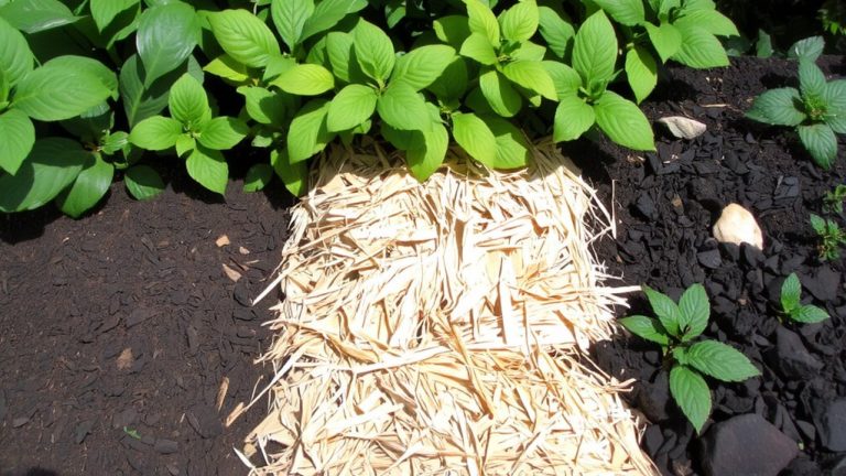 best mulch for weeds