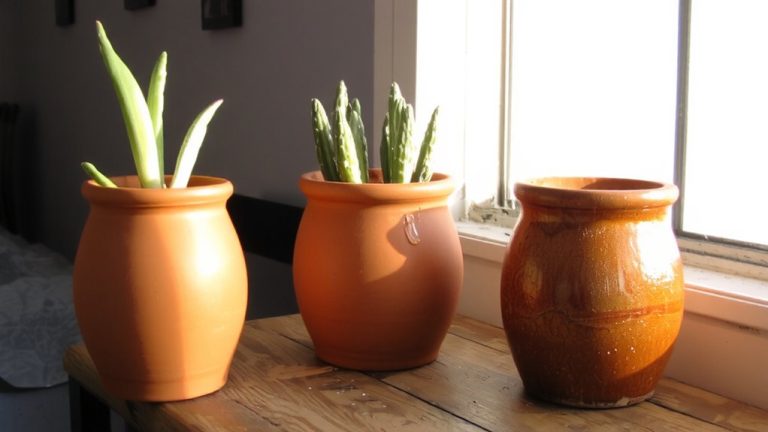 best paint for terracotta pots