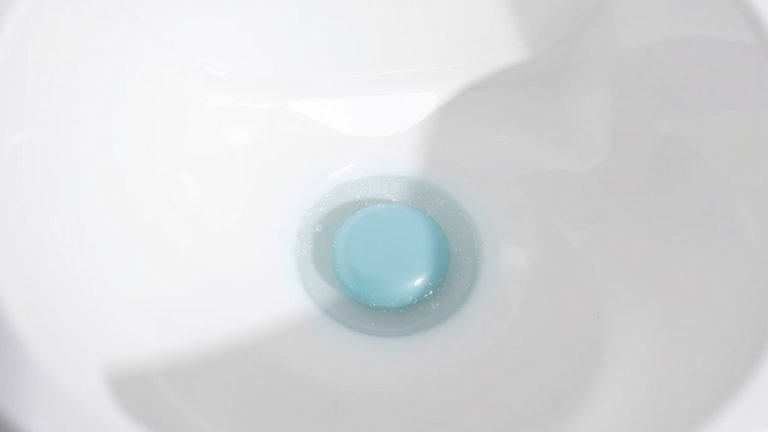 best toilet bowl cleaners