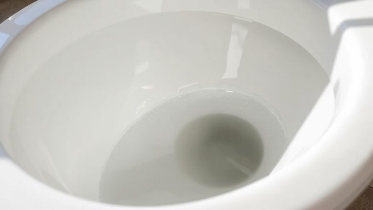best toilet cleaners destroy mold