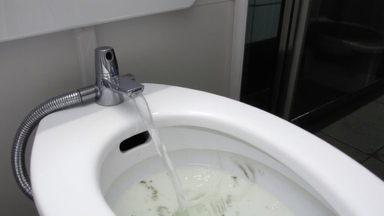 bidets recirculate legionella risk
