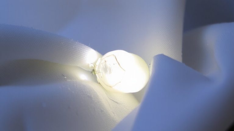 cationic surfactants disrupt microbial membranes
