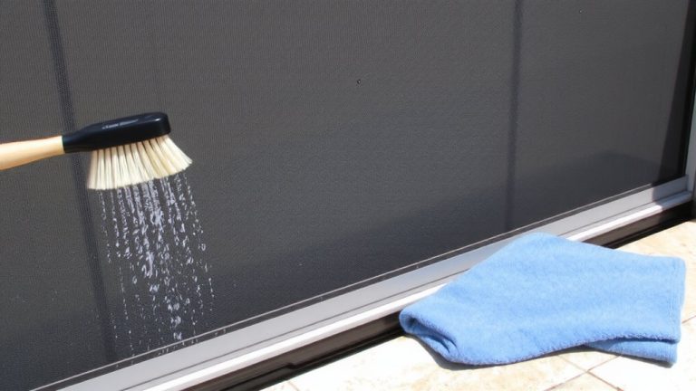 clean lanai screen effectively