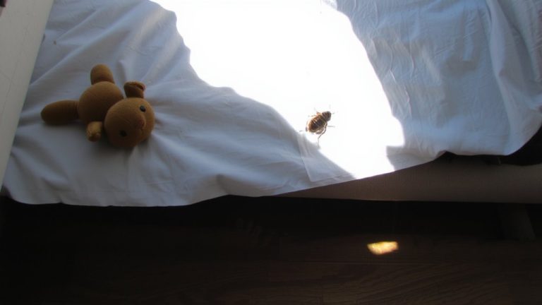 cockroach allergens trigger asthma