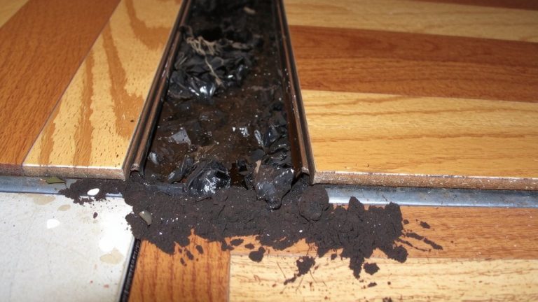 dirt trapped by edging