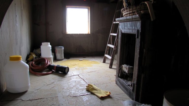 diy pest control risks