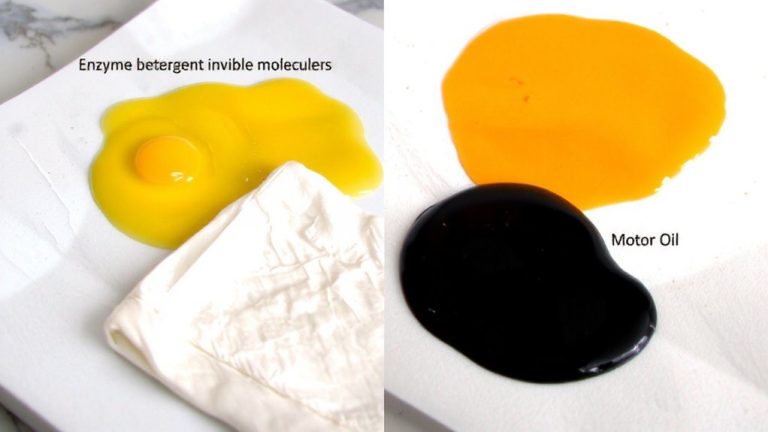 enzyme specificity in odor removal