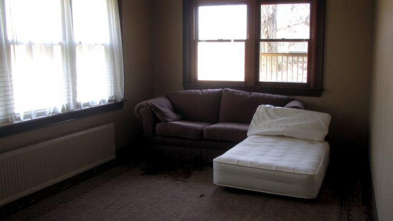 furniture transfers hidden bed bugs