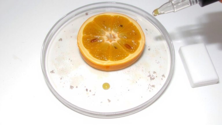 grapefruit seed extract safety