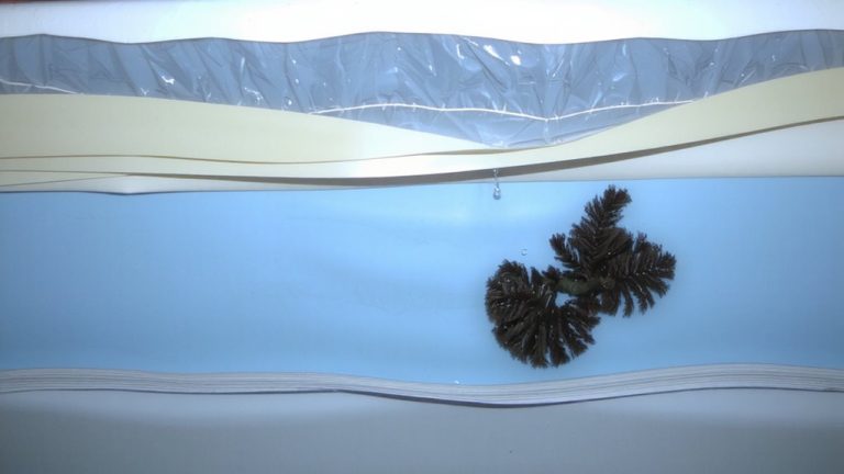 heat loss and fungal growth