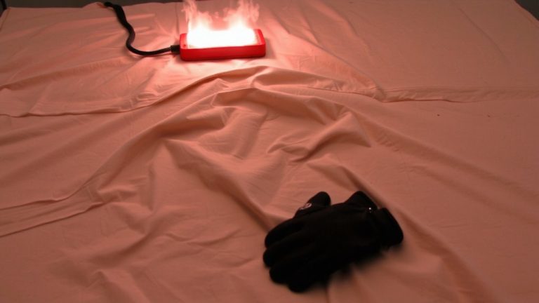 heat treatments kill bed bugs