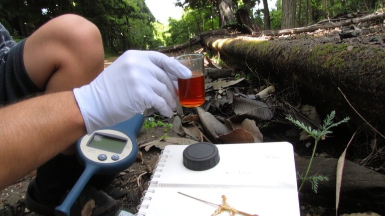 herbicide environmental half life assessment