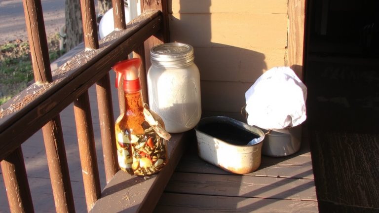 homemade raccoon repellent solution