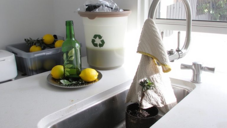 identifying greenwashing in cleaners