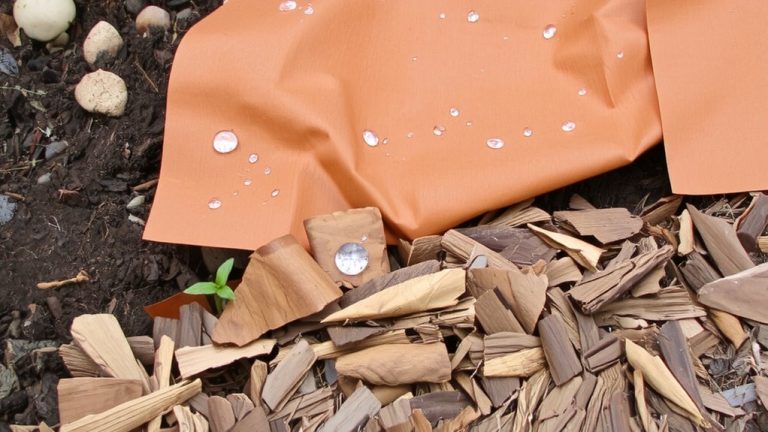 landscape fabric delays emergence