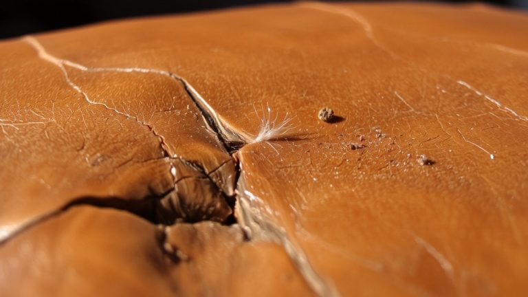 leather shedding triggers allergies