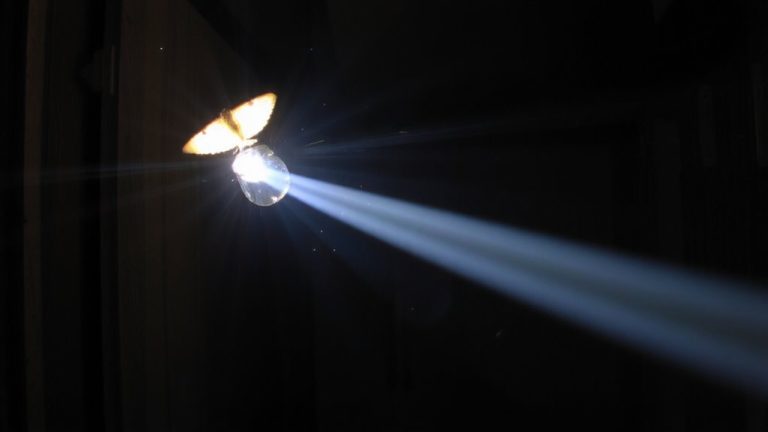 light exposure alters moth flight