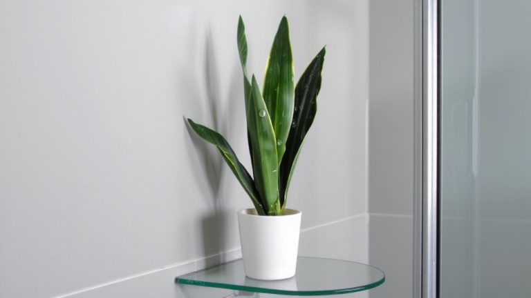 low light plants