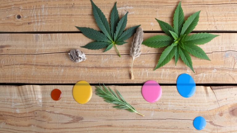 match weed to killer