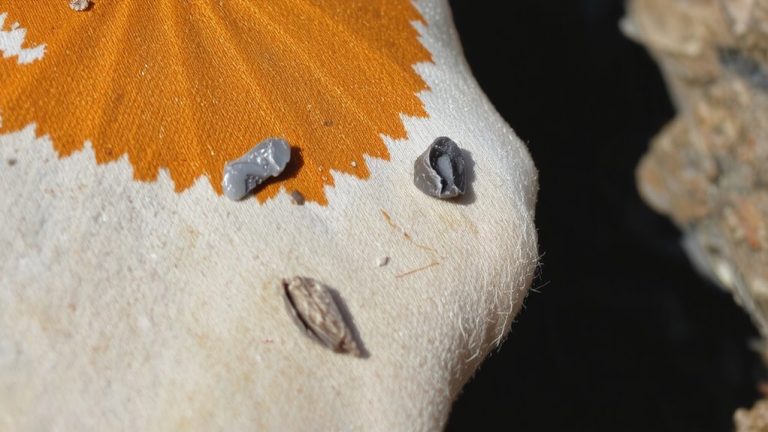mineral deposits degrade fabric fibers