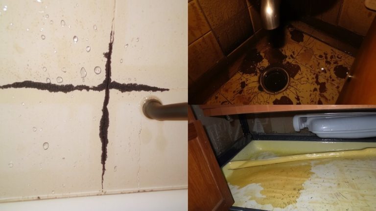 moisture causes mold odors