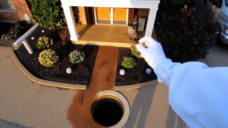 ongoing home pest protection