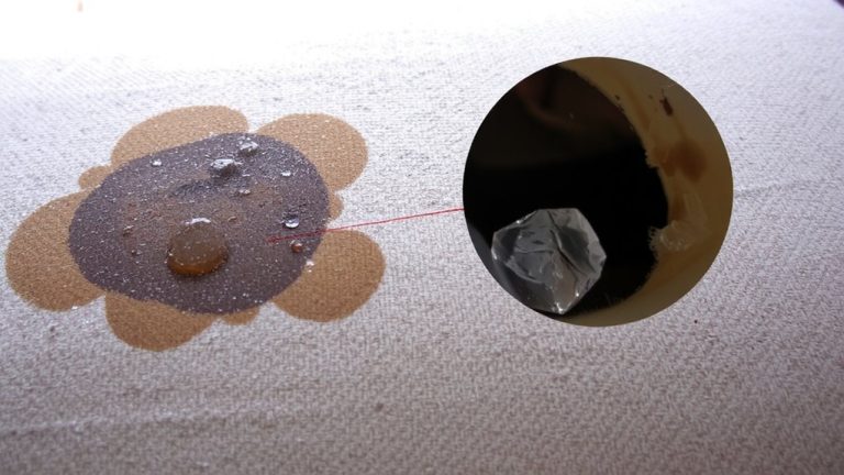 pet saliva and skin oils residue
