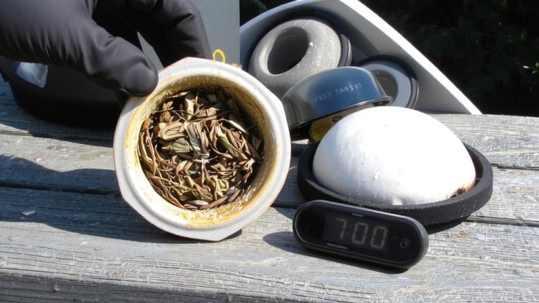 pollen and debris monitoring