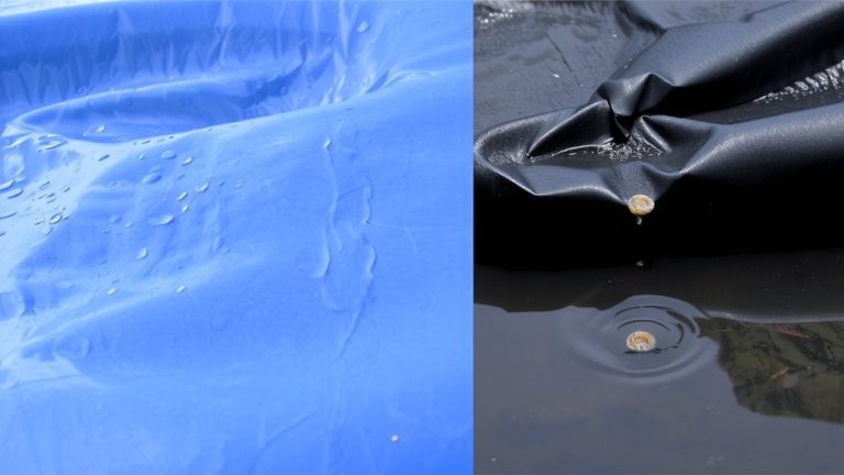 pool covers foster mosquito larvae