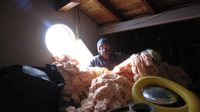 professional attic insulation removal