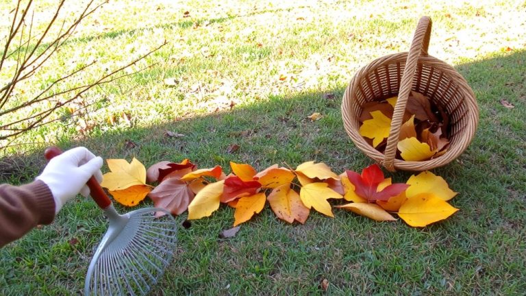 rake and bag leaves