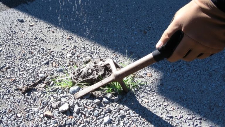 remove grass from gravel