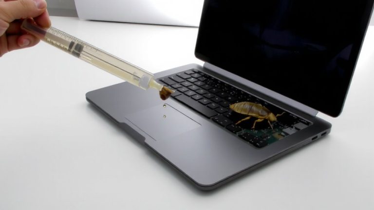 remove roaches safely