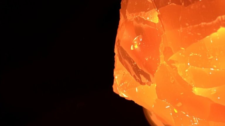 salt lamps absorb moisture hosting bacteria