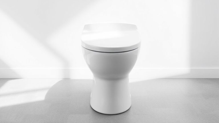 seamless skirted toilet design