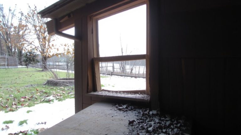 seasonal rodent home invasions
