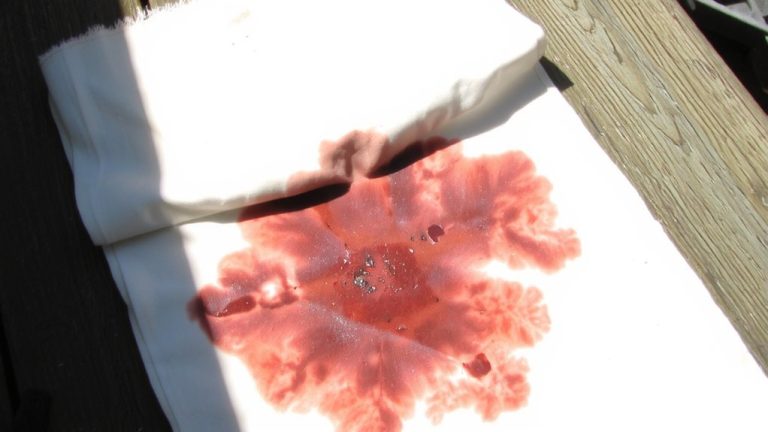 sunlight fades stains damages fabric