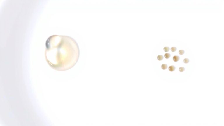 surfactant comparison for grease removal