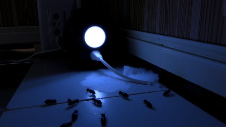 ultrasonic devices ineffective