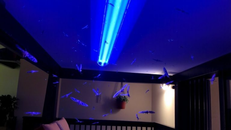 uv light insect traps