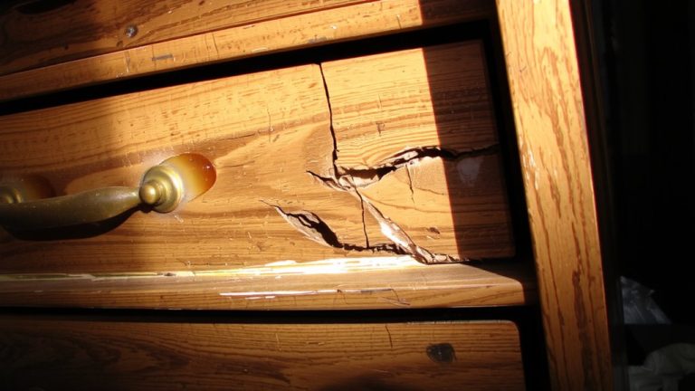 volatile organic compounds release
