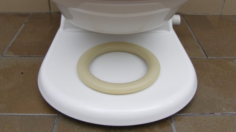 wax ring toilet seal